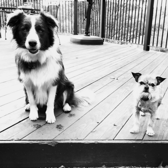 Price is too high?  Give “make an offer a try!” 🌻 - Picture 1 of 13